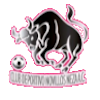 https://img.montasolo.com/img/football/team/97c3ef30cac48cadff97605e387feefa.png